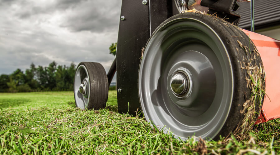 When To Aerate Your Garden Lawn