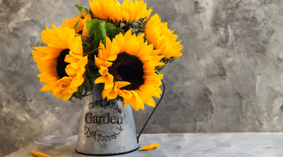 Gardening Jobs To Do In August