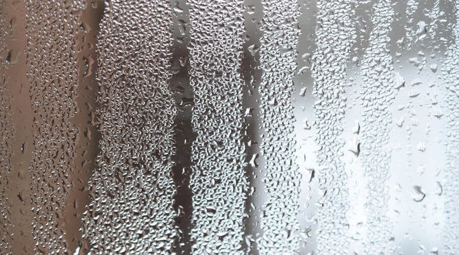 How To Absorb Condensation From Windows