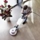 Floor Scrubber Polisher Hire