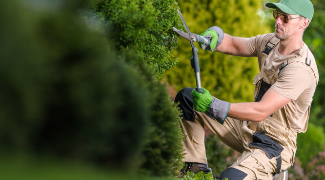 Top Tips For Avoiding Injury Whilst Gardening