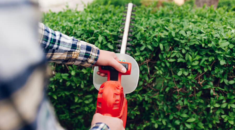 How To Trim Your Garden Hedges