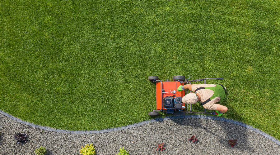 Top Lawn Care Tips