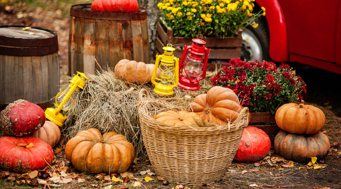 Vital Jobs To Do In October