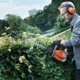 Petrol Hedge Trimmer Hire
