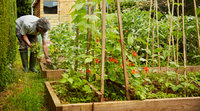How To Build and Install Raised Beds In Your Garden