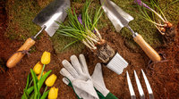 Spring Gardening Tips