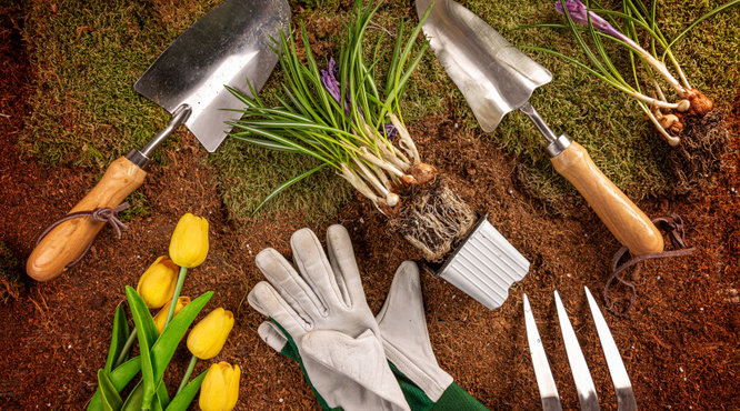 Spring Gardening Tips