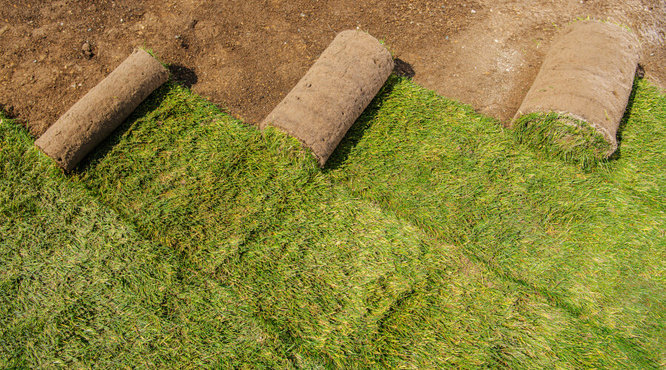 How To Use a Turf Cutter