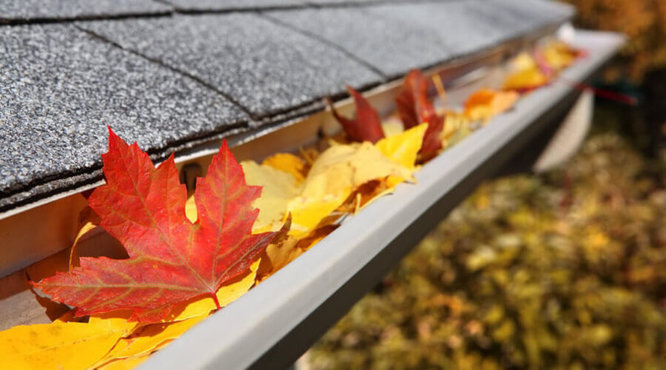 How To Clean Your Gutters