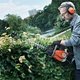 Petrol Hedge Trimmer Hire