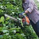 Petrol Hedge Trimmer Hire