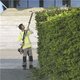 Long Reach Hedge Trimmer Hire