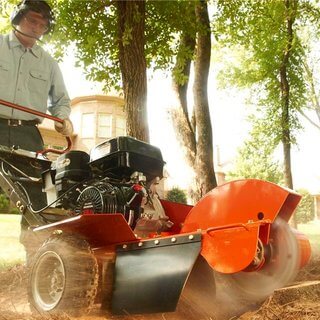 Tree Stump Grinder